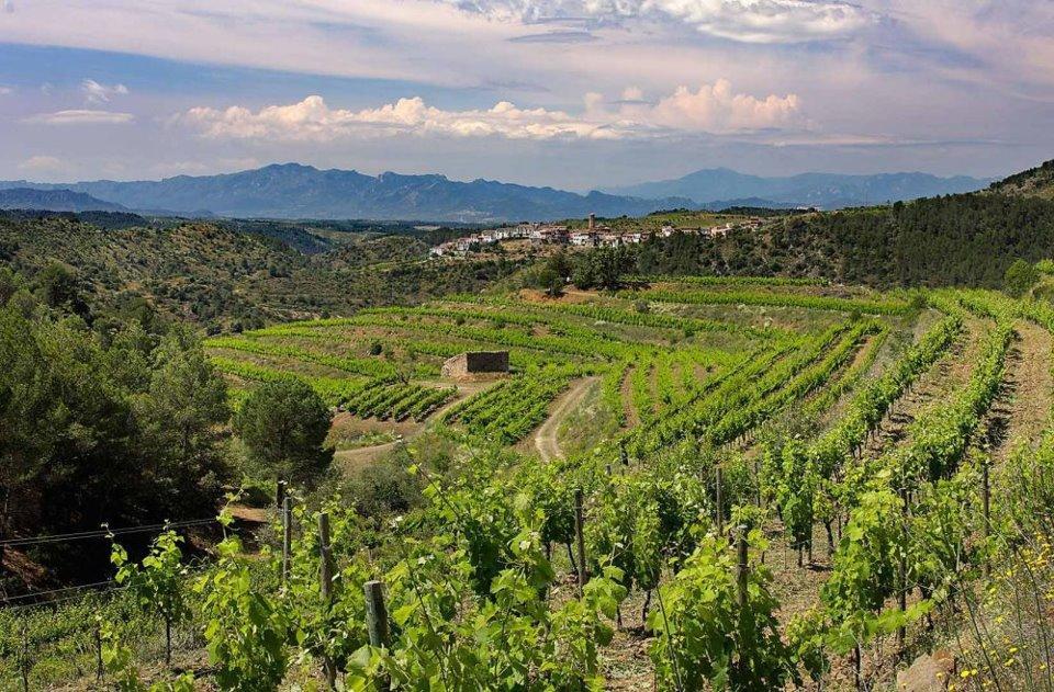 Clos Figueras Gratallops Exteriör bild